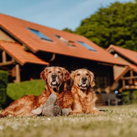 Blockhaus Vasco Da Gama - Meerblick Reihe 1 Und Eigene Sauna ساسنيتز