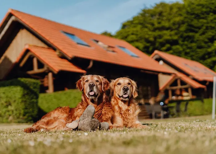 Blockhaus Vasco Da Gama - Meerblick Reihe 1 Und Eigene Sauna Sassnitz